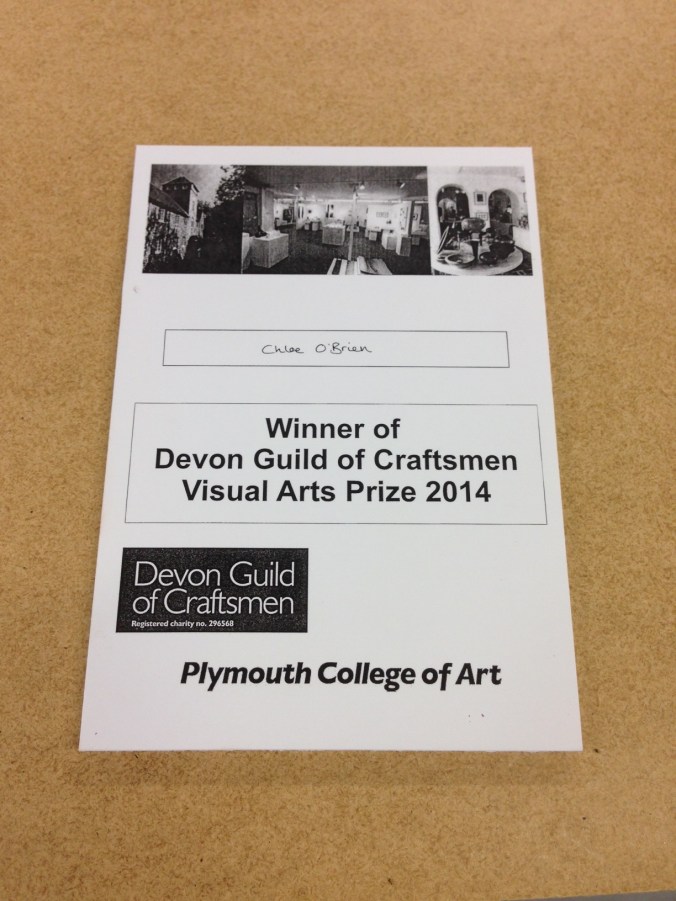 Devon Guild of Craftsmen Visual Arts Prize 2014